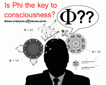 phi-consciousness.gif
