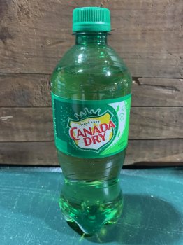 canada-dry-ginger-scaled.jpg