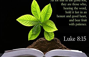 SEEKING THROUGH ARDENT ZEAL AND INTENSE EXERTION