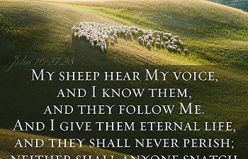 Scripture Of The Day - May 14, 2021
