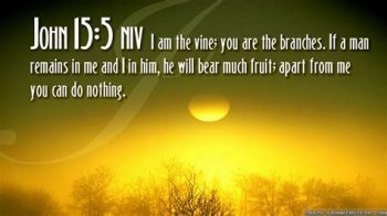 downloadfile-86.jpg