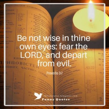 downloadfile-35.jpg