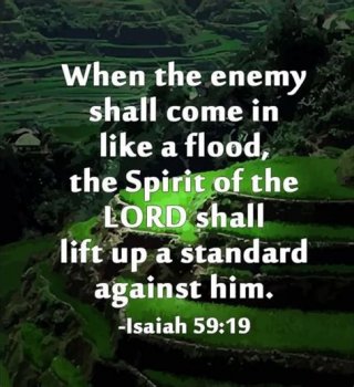 downloadfile-52.jpg
