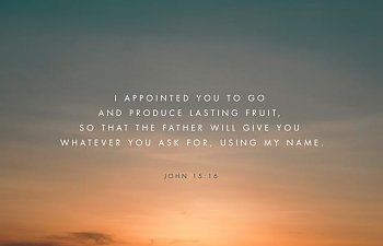 BASIC CODE OF THE KINGDOM