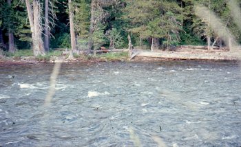 Idaho looking over the creek (2).jpg