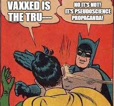 Shut up Robin.jpg
