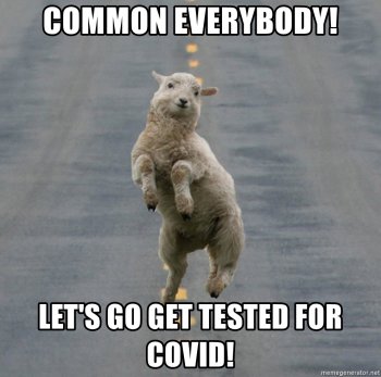 Sheep meme3.jpg