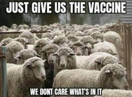 Sheep meme5.jpg