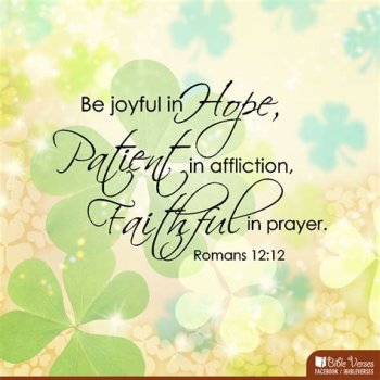 downloadfile-11.jpg
