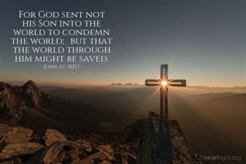 downloadfile-15.jpg