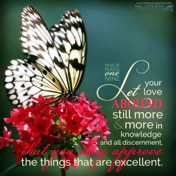 downloadfile-31.jpg