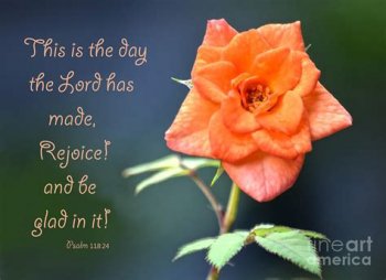 downloadfile-40.jpg