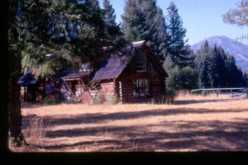 Older homestead cabin on Buds property.jpg