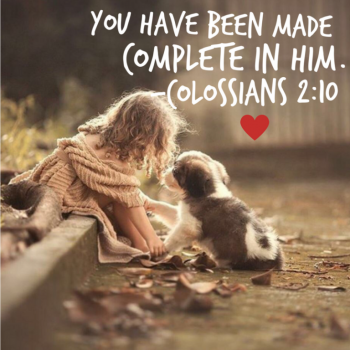 7D40A447-3249-46D0-8F85-CD939B157796.png