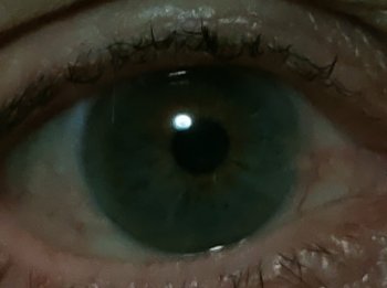 IMG_20210903_201347.jpg