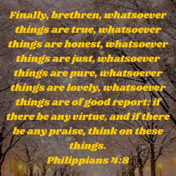 186E8AF1-B7BD-4FE3-80E0-0A415C054F4D.png
