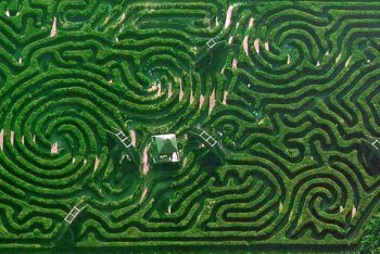 travel-hedge-maze-m.jpg