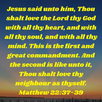 95FE1C0C-9347-44C1-9767-03FD1BEF7282.png