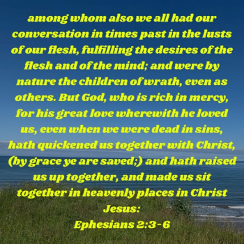 52B09A4F-1CD4-4C37-B351-761895891B50.png