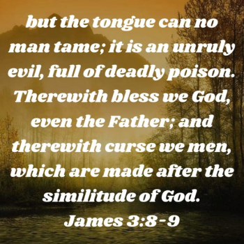 6FA1959E-7392-44F7-99E5-82A78300FD7C.png