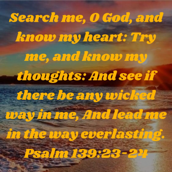 A0C882A9-C4F7-4189-AE0B-5D611E993602.png