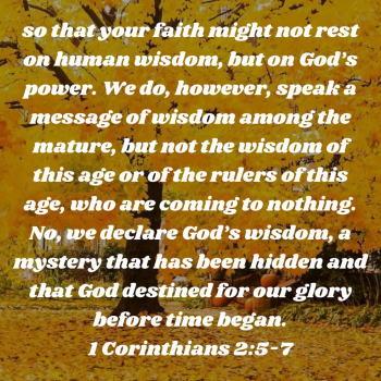 B6848513-F789-44A5-A654-07771A835849.png