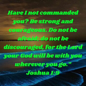 27291B86-00E1-4BCA-B84E-99A328D54A24.png