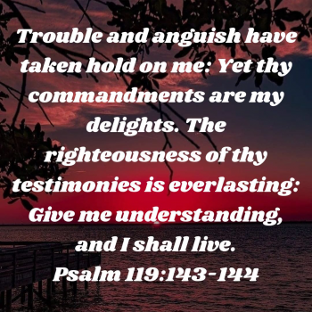 A8A01001-70DF-4C08-A0F1-EBECD23E5A4A.png
