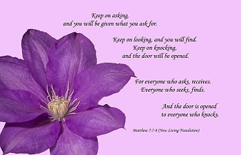 APPREHENDING THE CHRIST LIFE