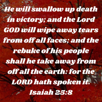 1948C4F4-AB13-4E17-9A9D-050B1D0509BB.png