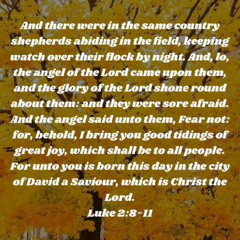 08804646-A398-48B5-8350-DA8EB1F3F633.png