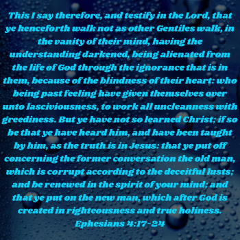 6425ED41-A45F-4873-9A2F-633AA0A9F66D.png