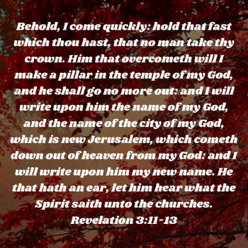BCAABEB6-5CB9-412F-9C60-49D7AF199F08.png