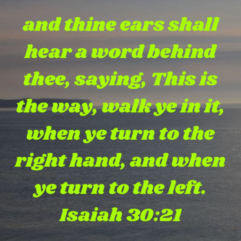 AE05B3AD-0D7B-4D55-8122-34414E18E478.png