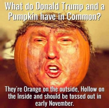 trump-pumpkin-common-58126ce25f9b58564cf1f586.jpg