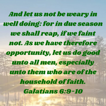 01FA15AB-AA40-4420-84AF-7239BC942ABD.png
