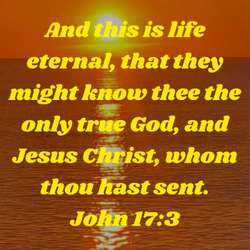 D8FDFC68-3312-4031-8F98-1D76147A2770.png