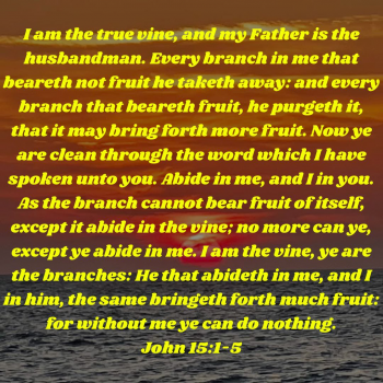 3EA978B1-0991-4E8B-9782-F99188164C85.png