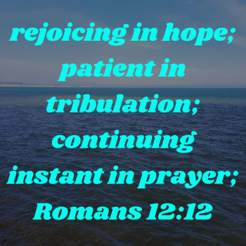 D9FF84D7-8FAF-4F59-A0B1-6577FEE4C438.png
