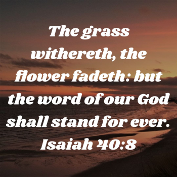 38B64277-9429-48F5-BC76-FAEBA6A714E0.png