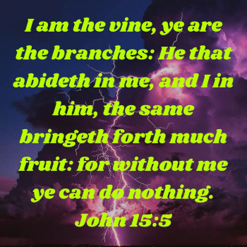 8880A021-EACA-48A4-B1DD-AD9CAEEB1B32.png