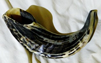 Shofar 1.JPG