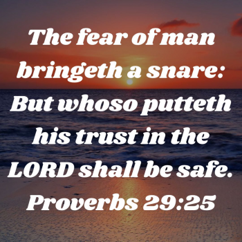 728463BF-7163-44F0-A090-3B52A701B785.png