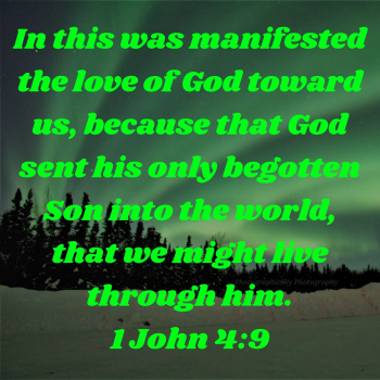 ED181D45-4B24-4761-9B0E-A85CE2B9B25F.png
