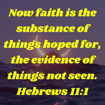 A9F21FF9-0068-48E3-8D8E-037047D0893C.png