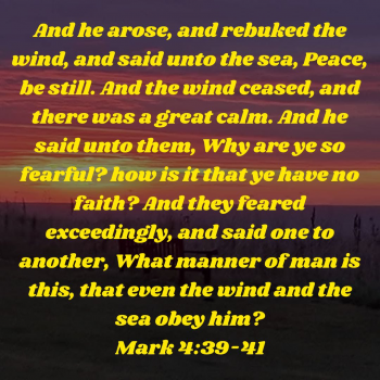 62CD8FA1-4CDE-4329-8B7C-B4BB986912CD.png