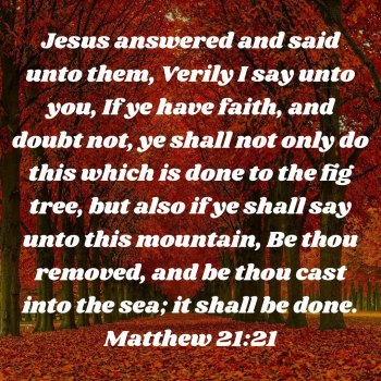 B547F773-6050-4223-9D44-021FDE5220BC.png