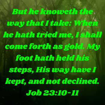 979709A4-0412-4BC4-A079-22AD7FAC3D37.png