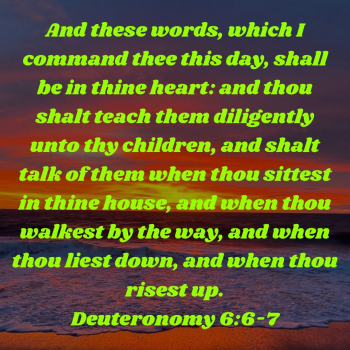 775CA4BA-38FE-4FA1-8B29-F92A86D697A7.png