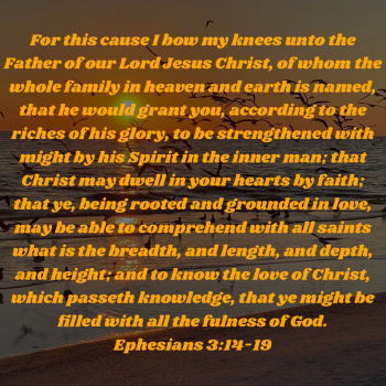 EDC079ED-FB50-46BA-89A2-B9AE950A41C0.png